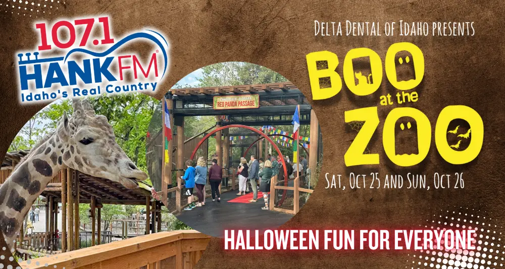 slider-boi-boo-at-the-zoo-2025