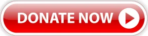 "DONATE NOW" Web Button (charity donation money give contribute)