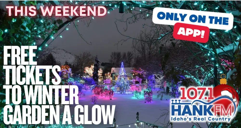 slider-oota-wga-2025