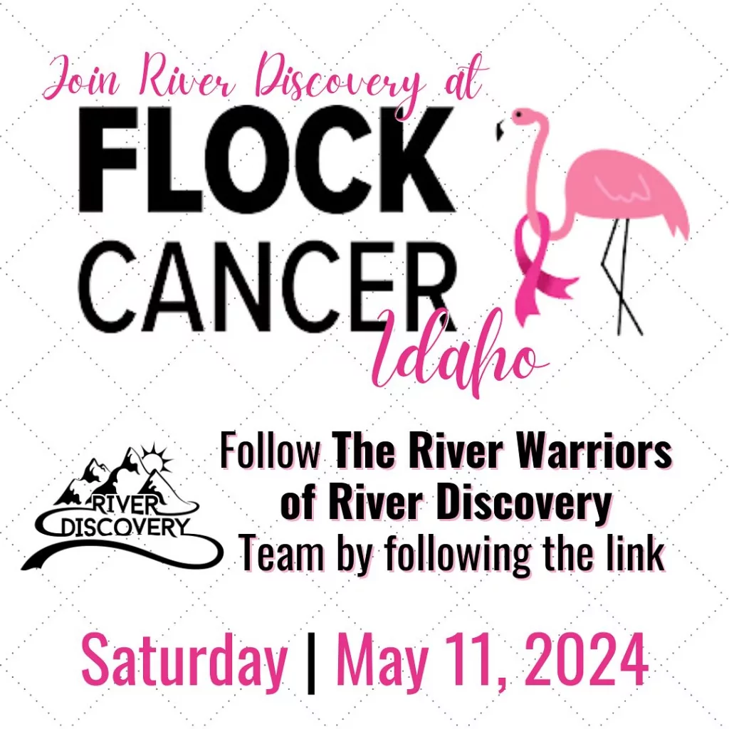 River Discovery Flock Cancer Idaho poster