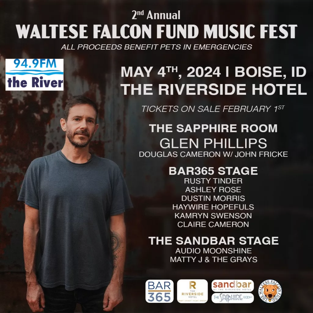 Waltese Falcon fund Music fest poster
