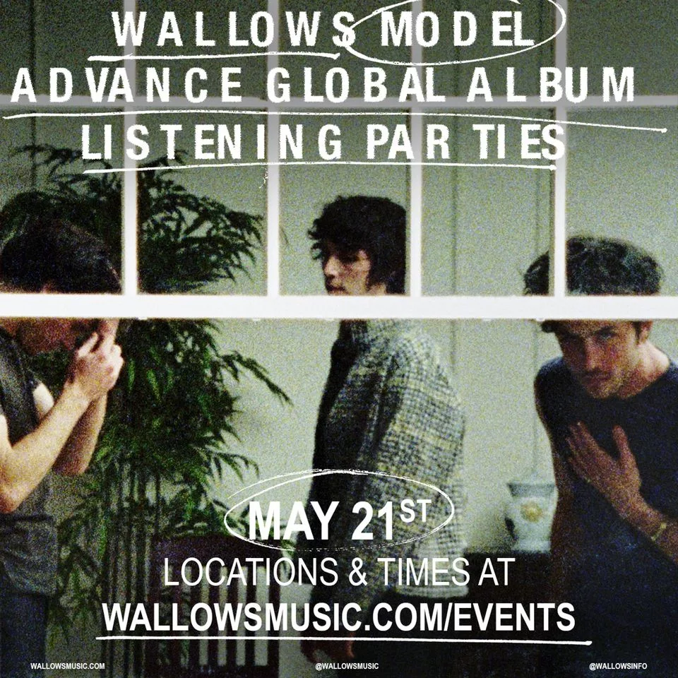 Wallows poster