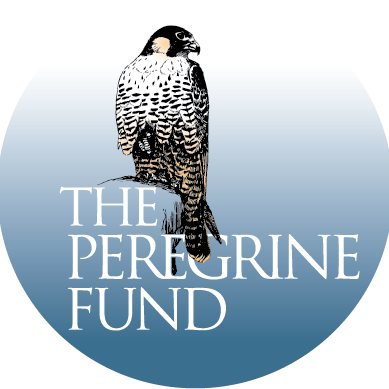 Peregrine Fund