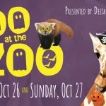 Boo at the Zoo