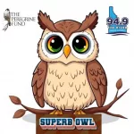 Superb Owl 2