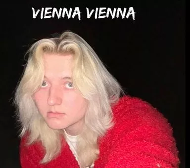 vienna vienna