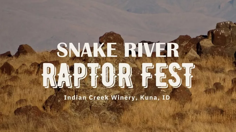 Snake River Raptor Fest