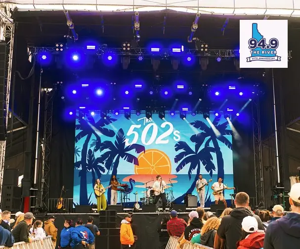 The 502s