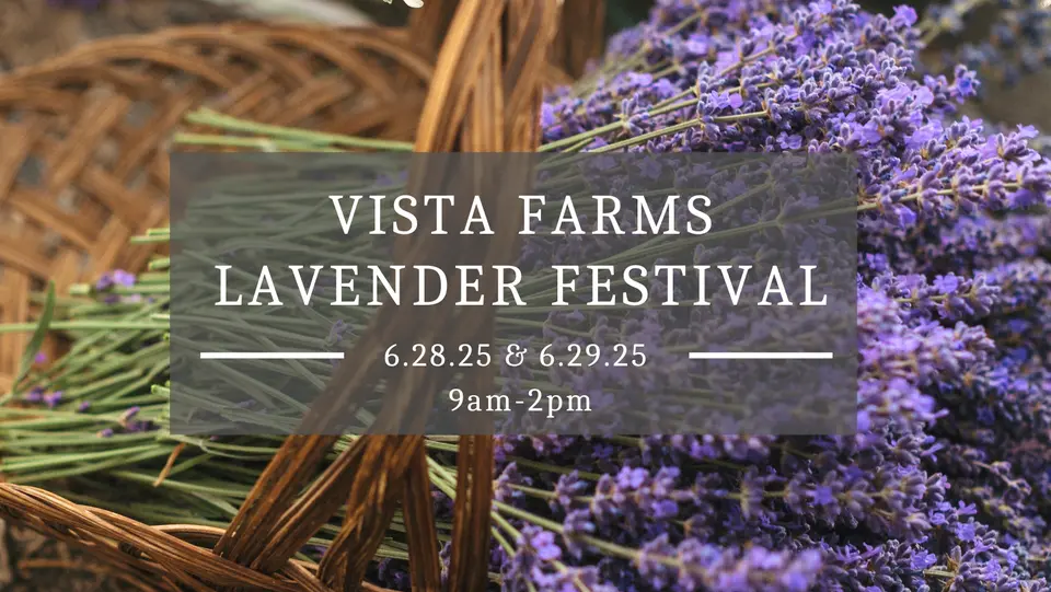 vista farms lavendar fest