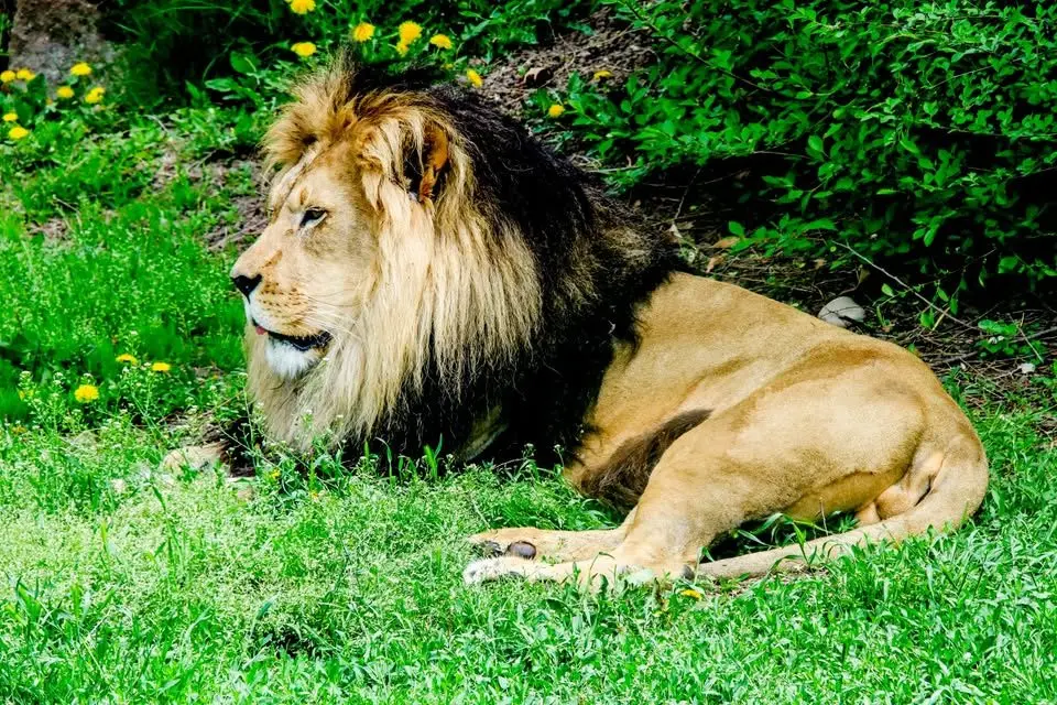 ZOO BOISE