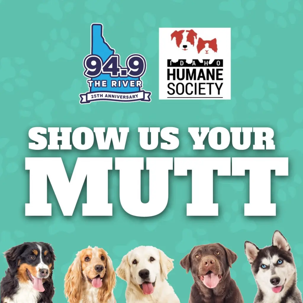 Show Us Your Mutt!