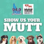 Show Us Your Mutt!