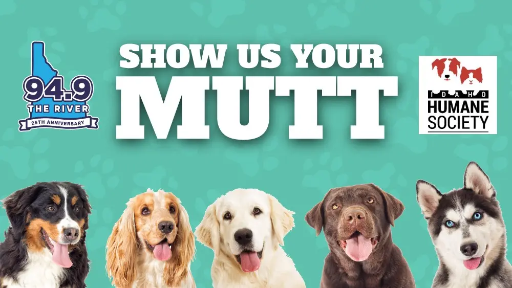 Show us your Mutt