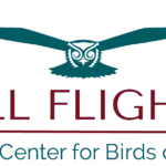 Peregrine Fund Fall Flights logo