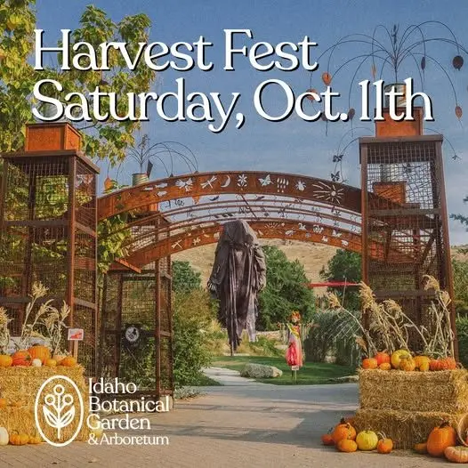 HARVEST FEST