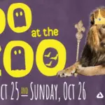 boo at the zoo