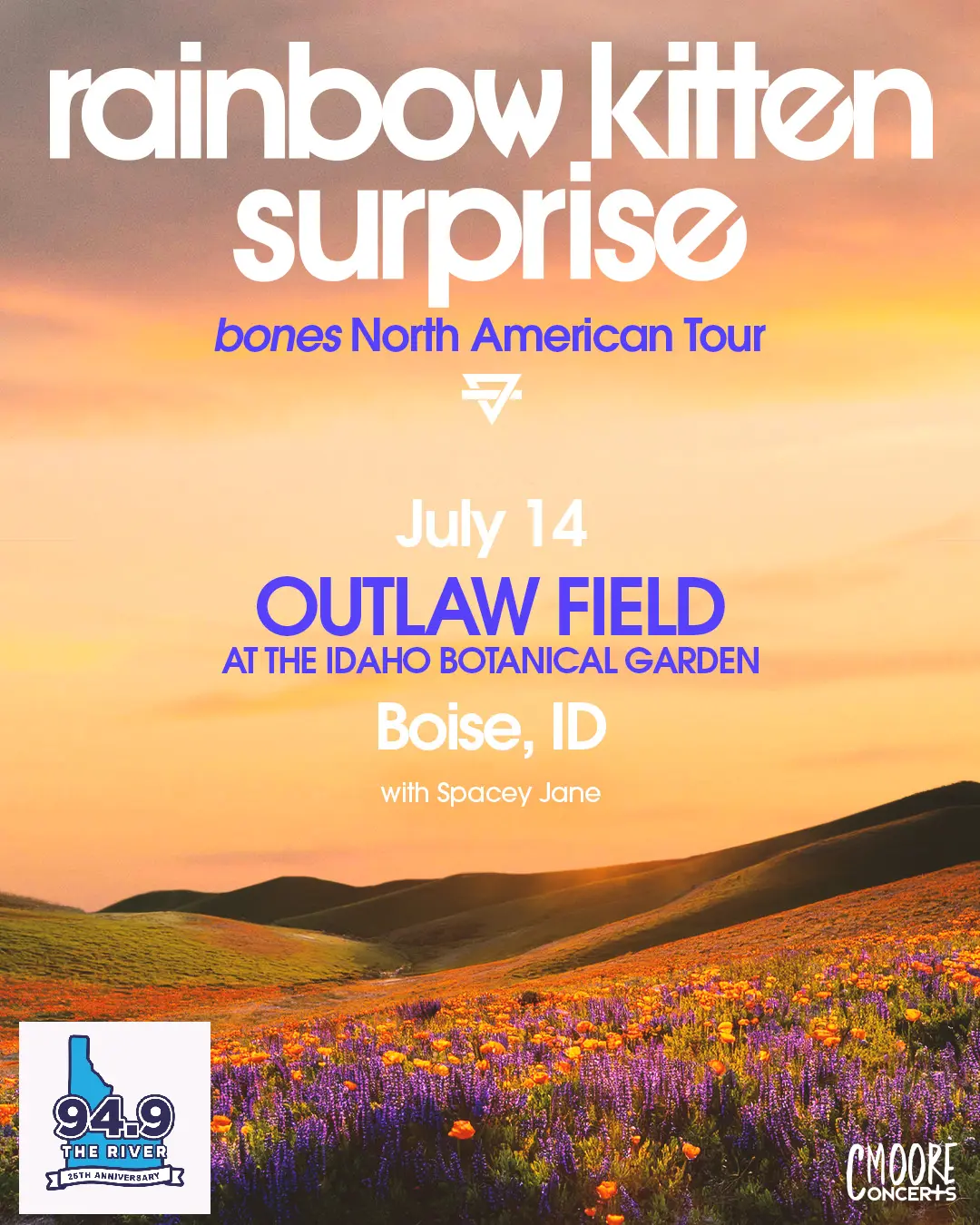 rainbow kitten surprise