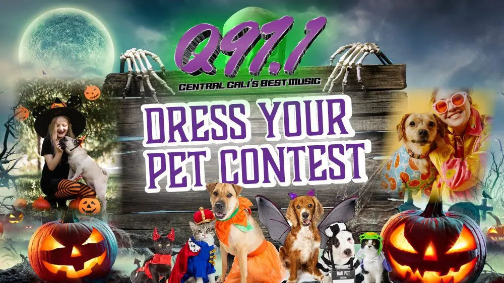 your pet