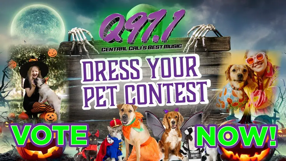 pet costume contest