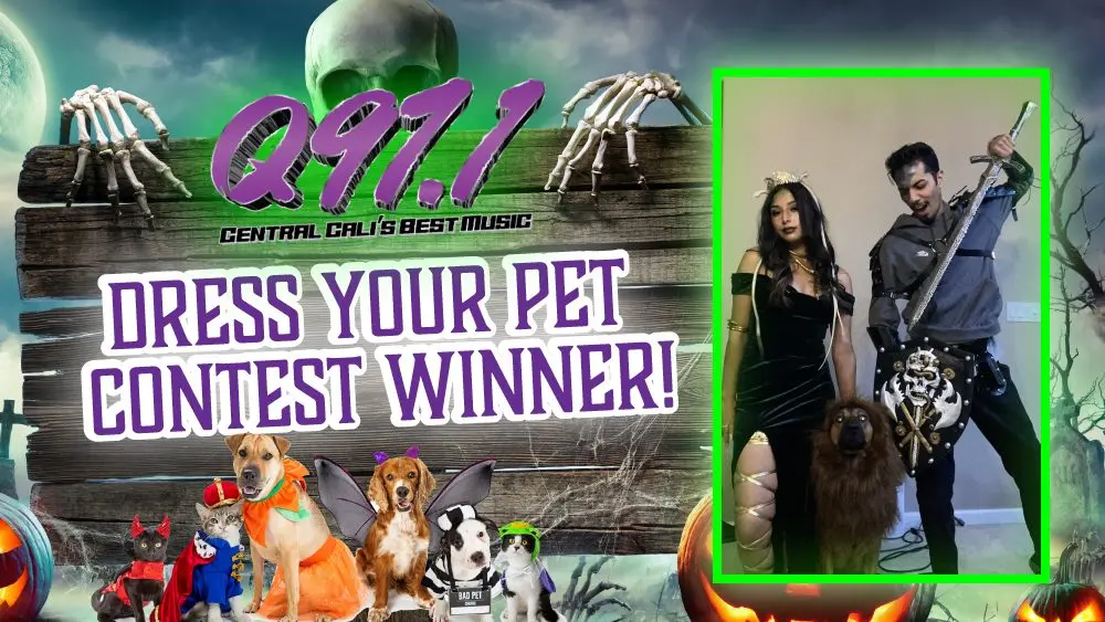 dress your pet contest