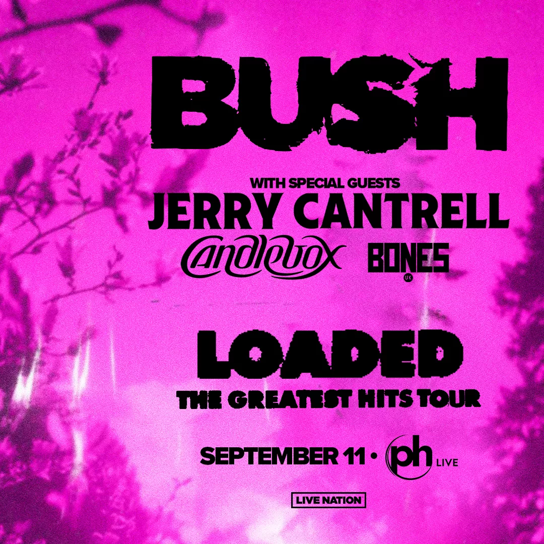 BUSH CANDLEBOX