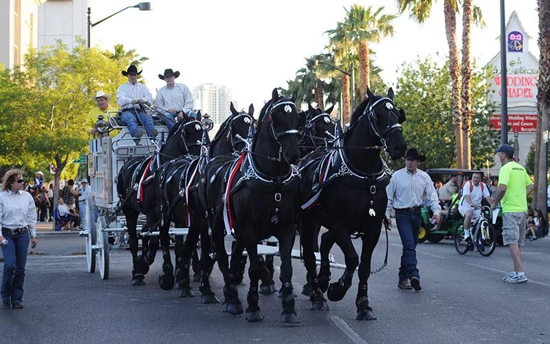 Helldorado Days Parade