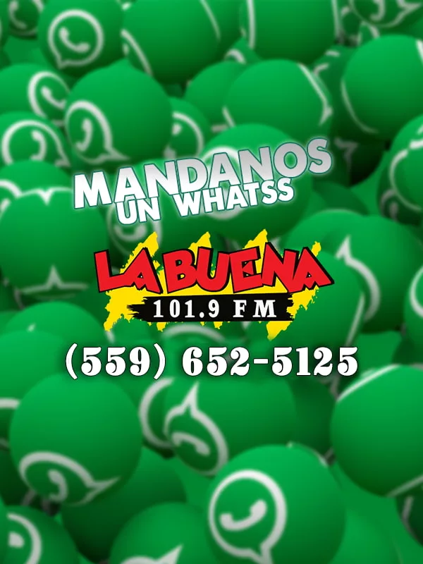 whatss-600x800-klbn_r