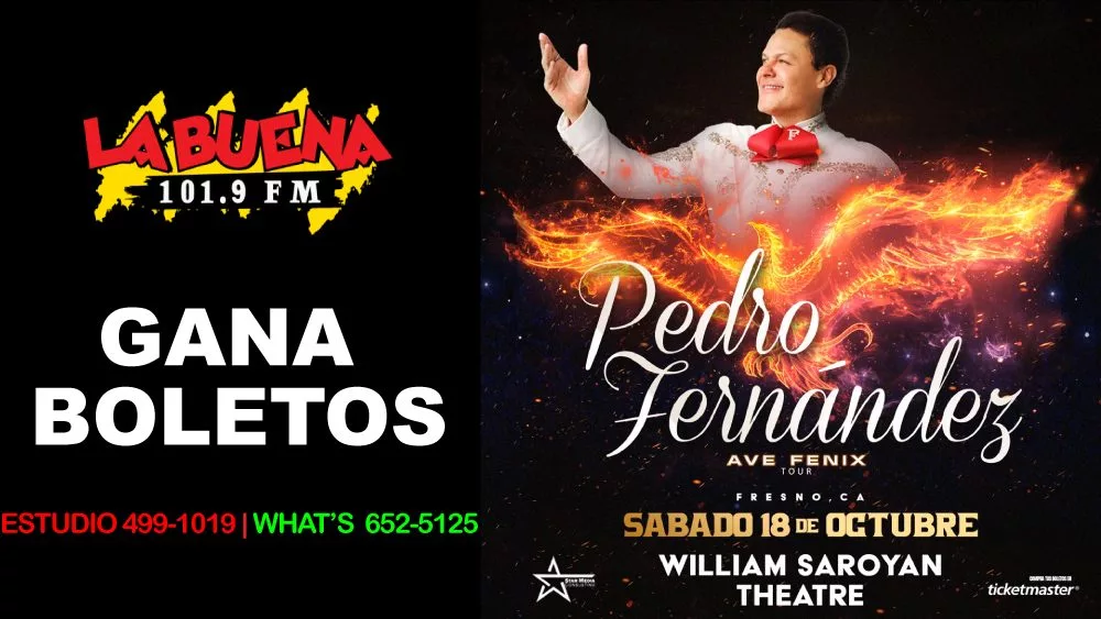 Pedro Fernandez