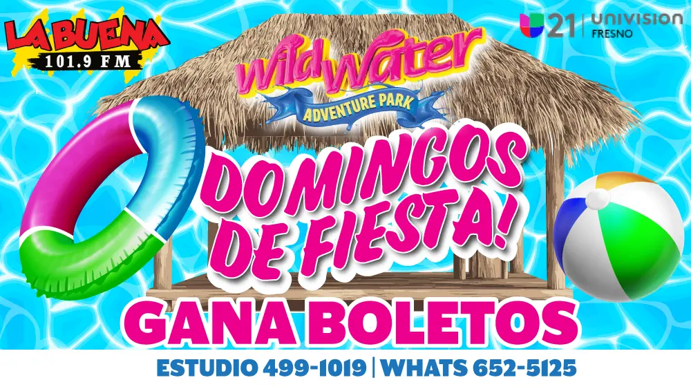 Domingos de fiesta