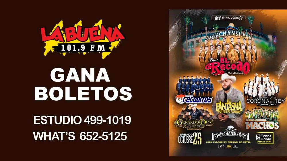 el Recod and more musicians graphics