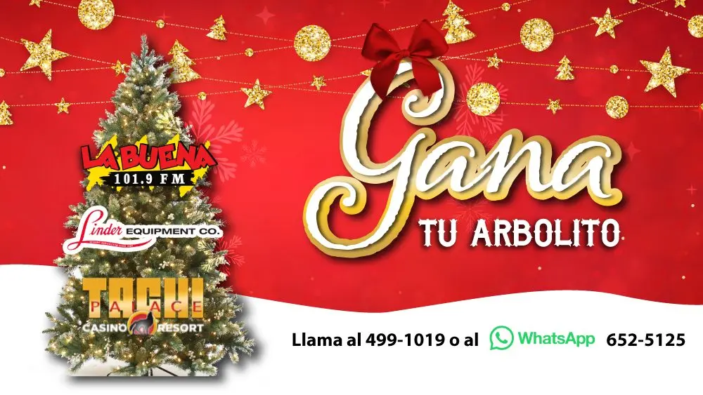 Christmas Tree Giveaway