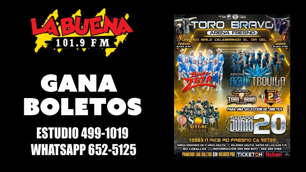 banda zeta