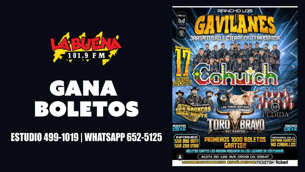 gvilanes