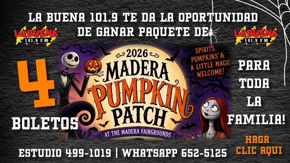 pumpkin patch