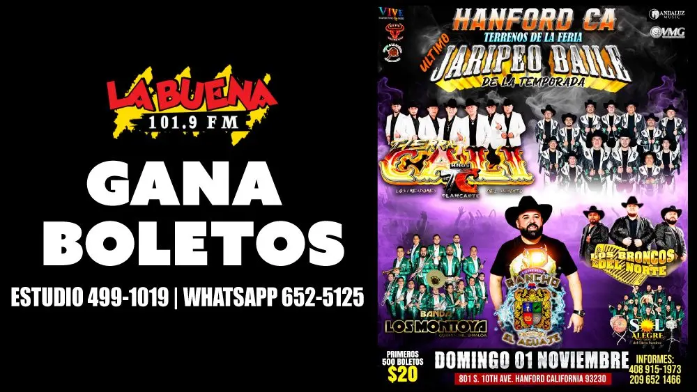 jaripeo