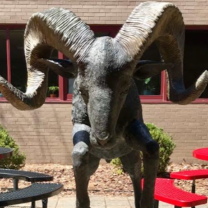 new-canaan-high-school-2