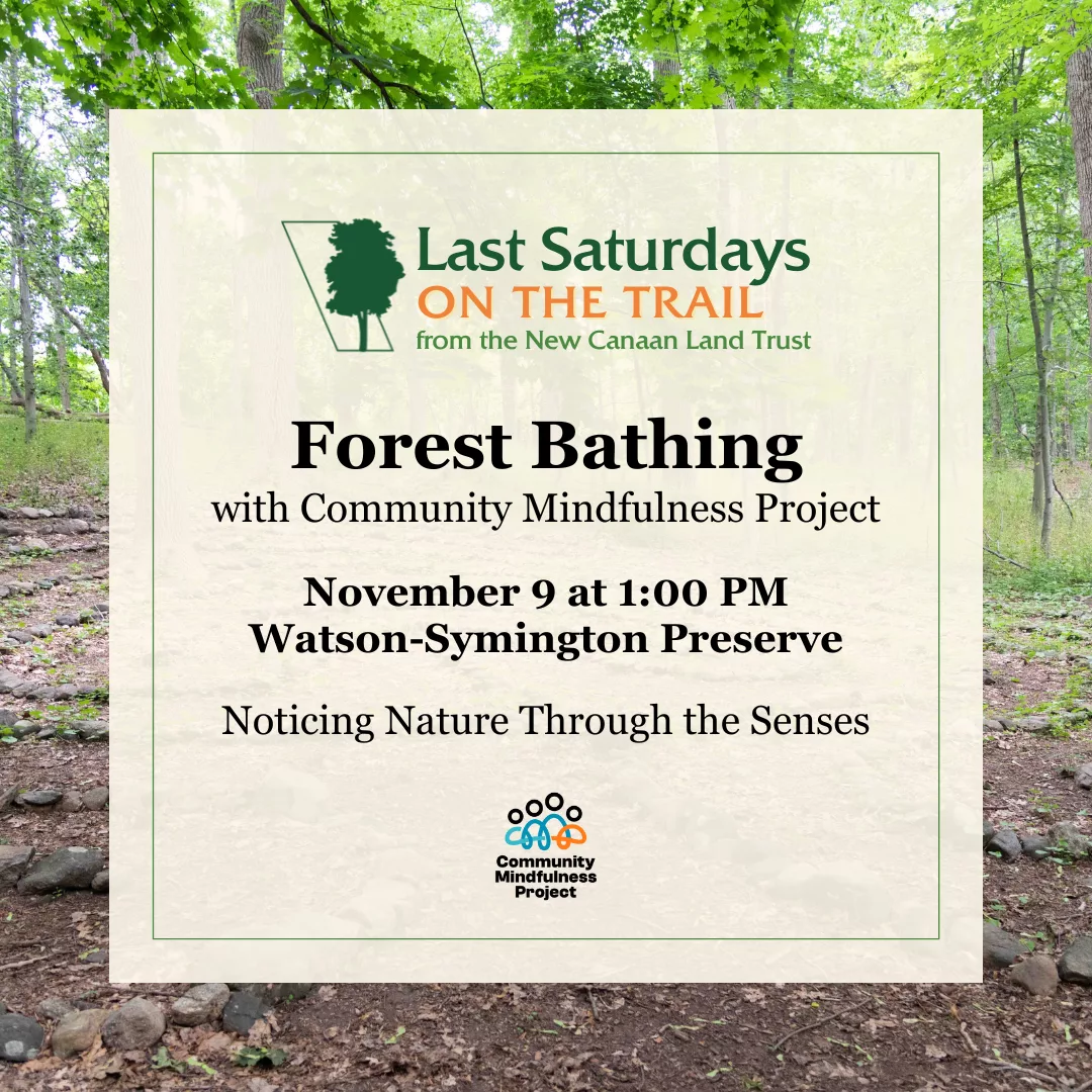 nclt_forestbathing