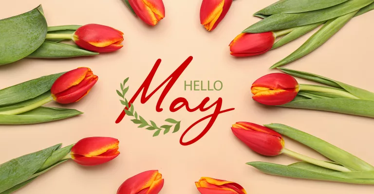 beautifultulipflowersandtexthellomayonbeigebackground