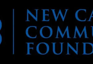 nccf_ko_type_2