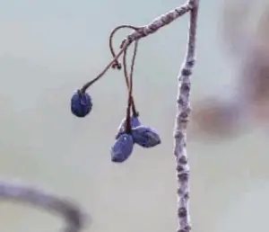 screenshot-2025-10-31-at-4-08-32-pm