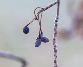 screenshot-2025-10-31-at-4-08-32-pm