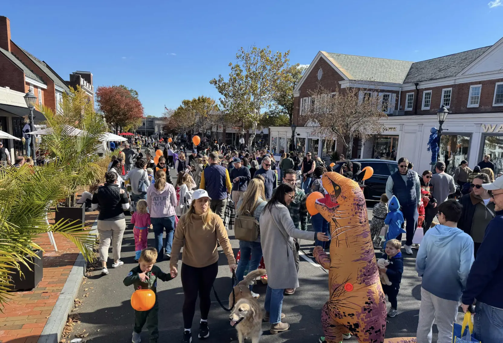 screenshot-2025-11-17-at-1-49-35-pm