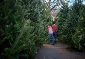 shutterstock_2370592185