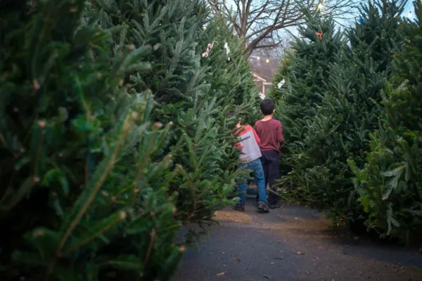 shutterstock_2370592185