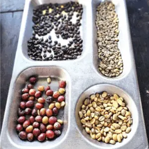 screenshot-2025-12-08-at-2-37-55-pm