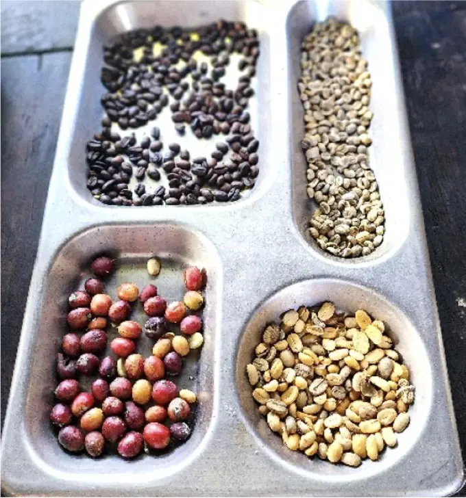 screenshot-2025-12-08-at-2-37-55-pm