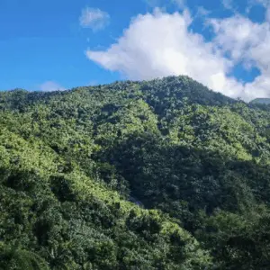 waterfall-and-view-from-casa-cubuy