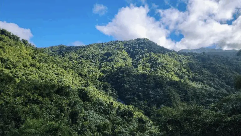waterfall-and-view-from-casa-cubuy