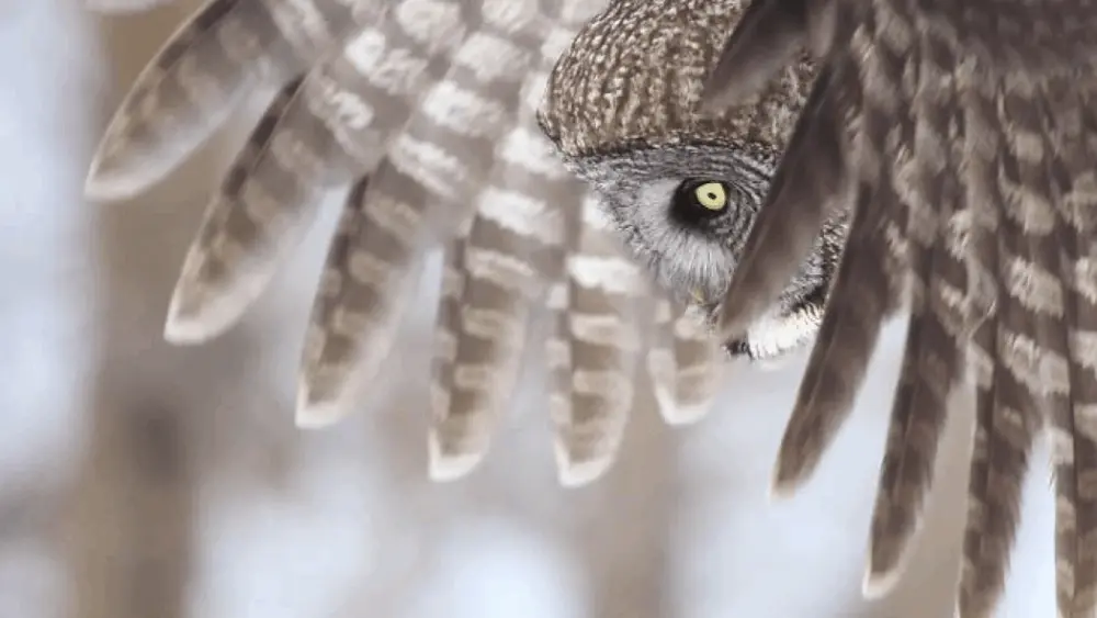 screenshot-2026-02-02-at-3-01-38-pm