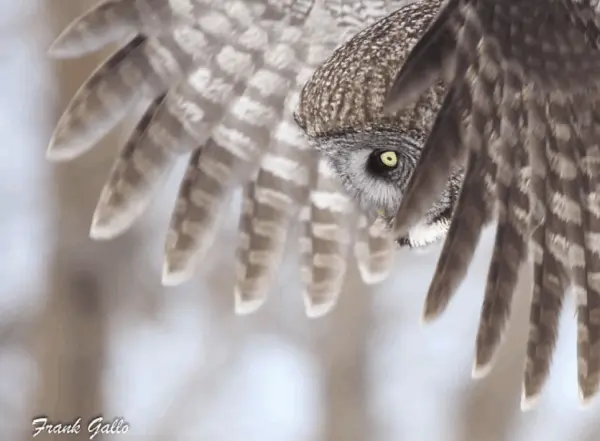 screenshot-2026-02-02-at-3-01-38-pm